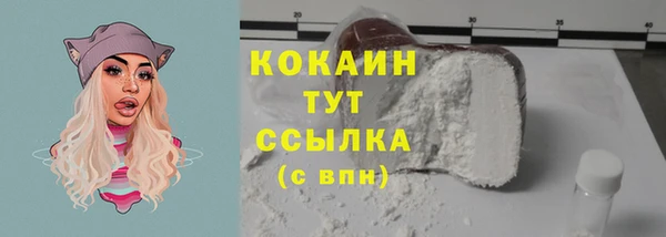 прущие крисы Заводоуковск